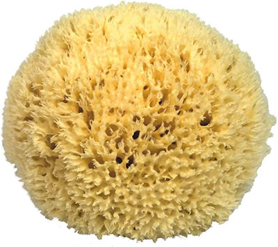 Přírodní mořská houba, 12cm